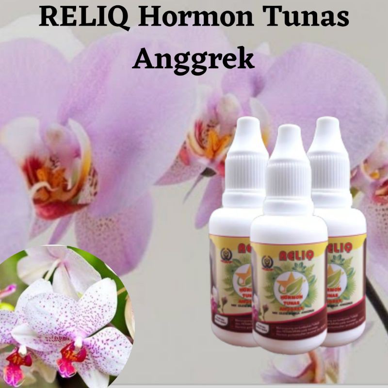 Hormon Tunas Anggrek, BISA COD Hormon Perangsang Pertumbuhan Tunas Bunga Anggrek