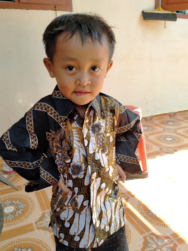 Kemeja Anak Laki-laki Batik Lengan Panjang 2-11 Tahun /kemeja Anak  Kemeja Anak Katun Catra