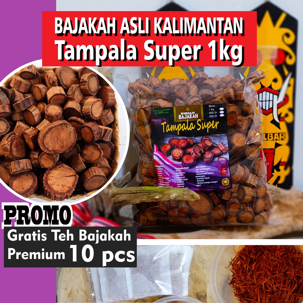 [ASLI] Bajakah TAMPALA super 1kg + BONUS Teh Bajakah/ Akar Kayu Bajakah Kalimantan
