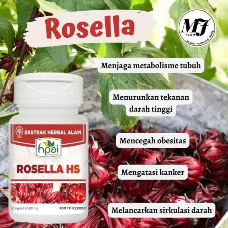 ROSELLA HNI HPAI