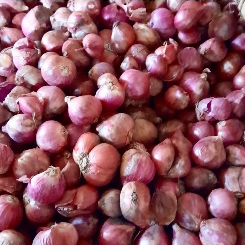 

BAWANG MERAH SUPER 1KG