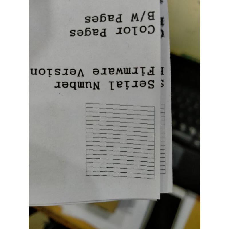 Print Head Epson L310 L210 L360 L3110 L1110 L3150 Second Original Black Only