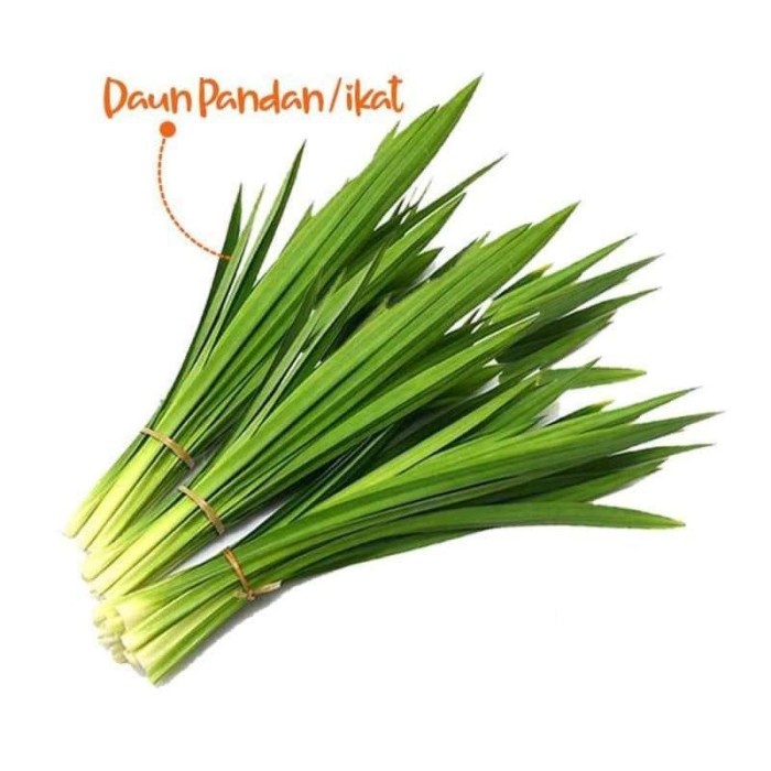 

Daun Pandan [1 Ikat / 100 g]