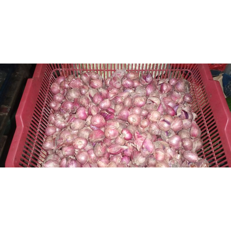 

Bawang Merah 250 gr
