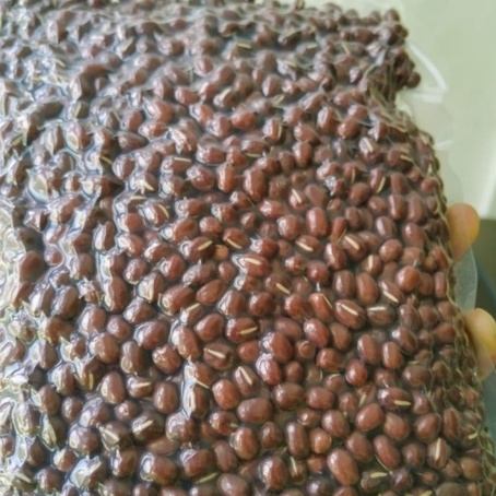 

Kcg Es Import RCC / Kcg Merah 1 KG / Kacang Merah 1 KG