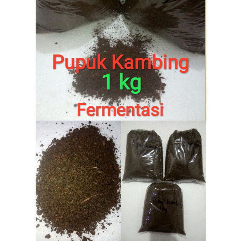 Pupuk kandang kambing 1 kilo Pupuk kambing Pupuk kambing halus fermentasi Pupuk kambing kasar