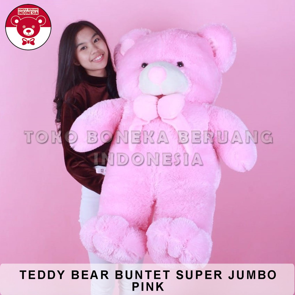 BONEKA BERUANG TEDDY BEAR BUNTET SUPER JUMBO PINK (1,1M) + KERTAS KADO