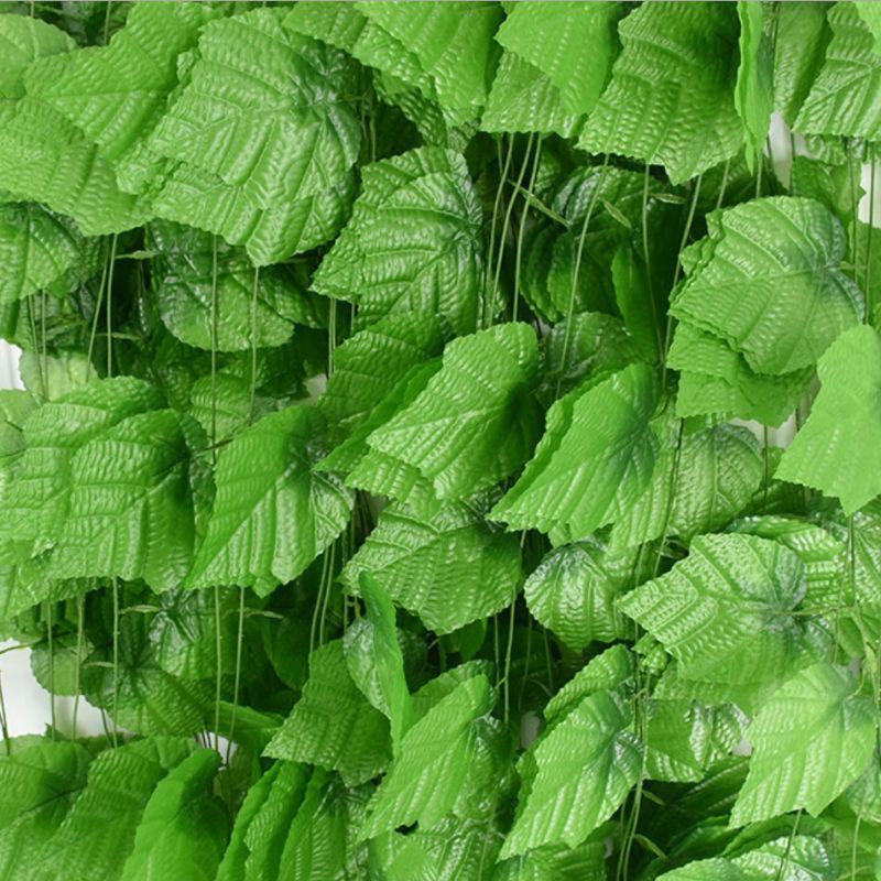 (cod)DAUN PLASTIK ANGGUR RAMBAT KERING (20x9)
