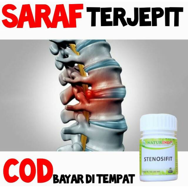 Obat Herbal Syaraf terjepit saraf terjepit Pinggang Encok saraf kejepit sakit saraf saraf lumpuh