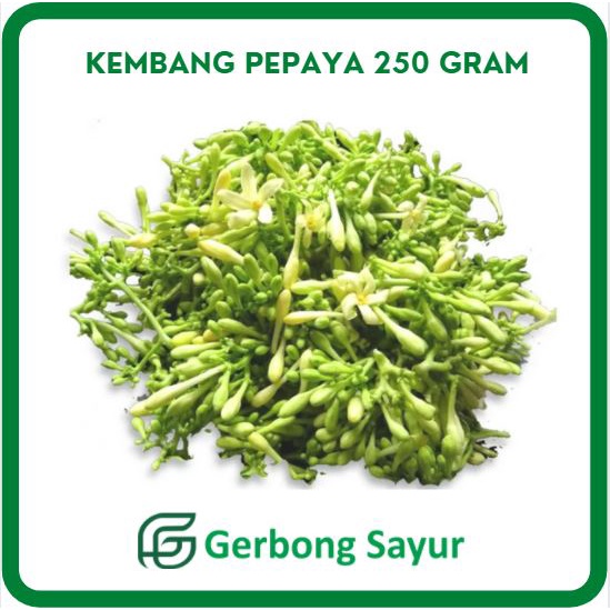 

Kembang Pepaya 250 gram