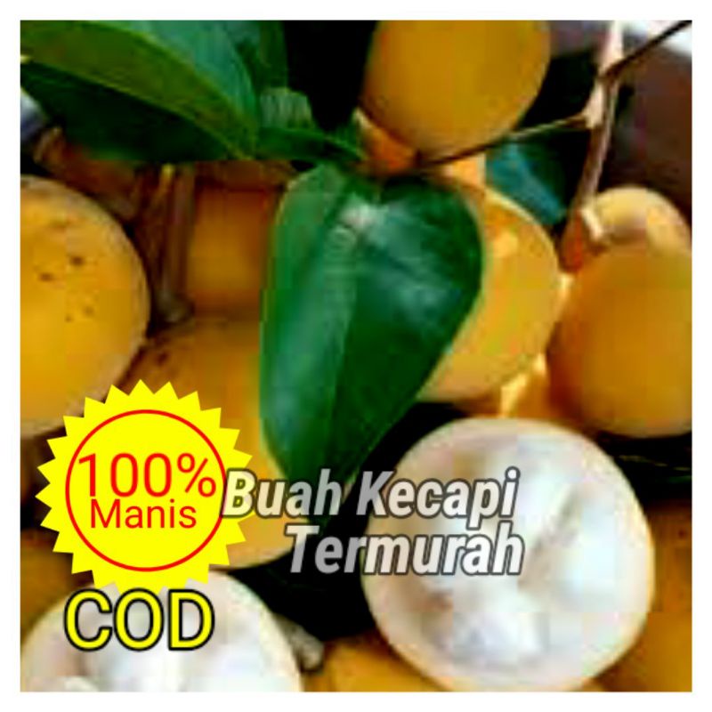 

BUAH KECAPI MANIS 500GR buah segar dan manis asli
