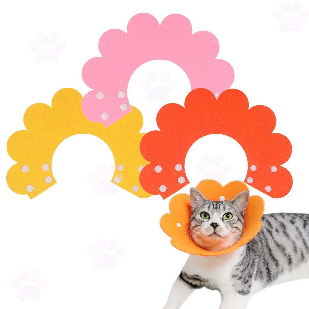 Solighter Cat Recovery Collar Home Adjustable Elizabethan Collars Cat Cones Setelah Operasi