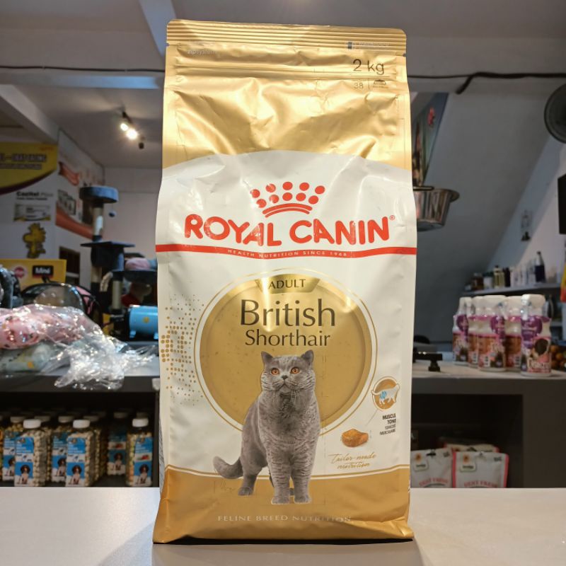 Royal Canin Adult British Shorthair 2kg / Makanan Kucing Dryfood