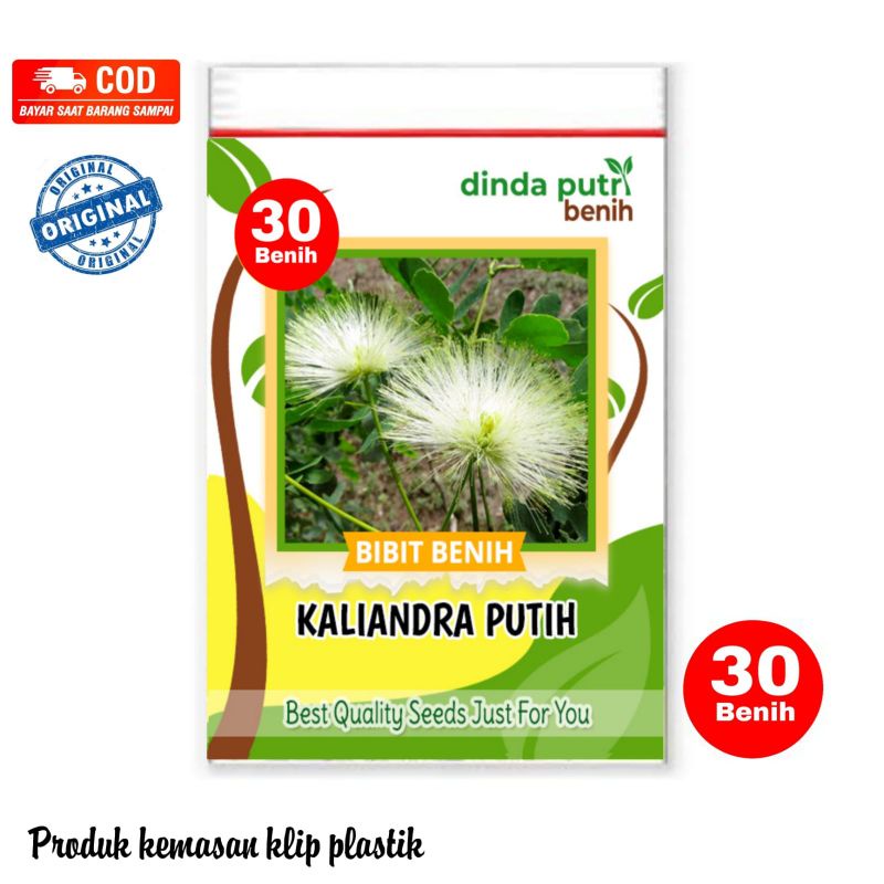 Benih Kaliandra Putih/isi 30 biji/Benih Pakan Ternak