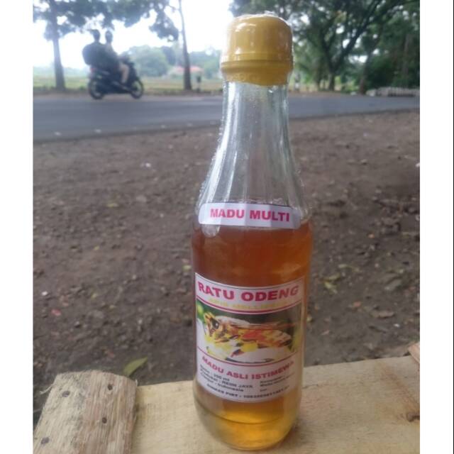 

Madu asli (madu multi) ratu odeng