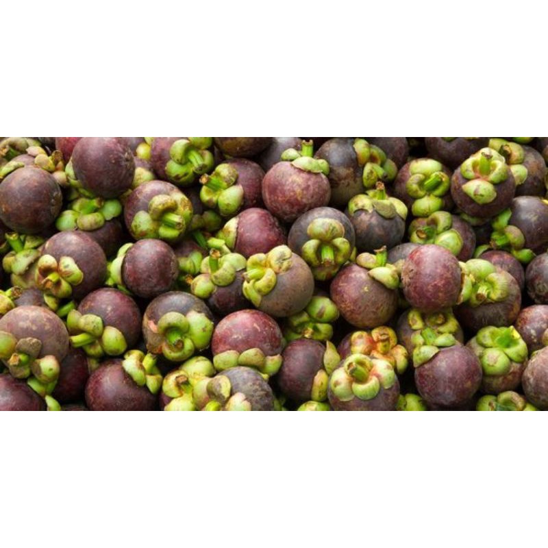 

Manggis Buah 500gr