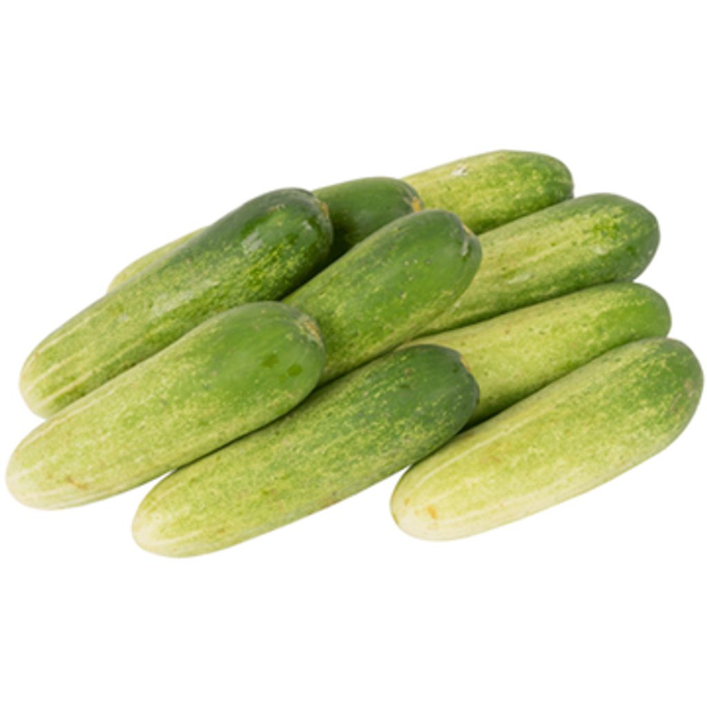 

TIMUN LALAP / TIMUN KECIL