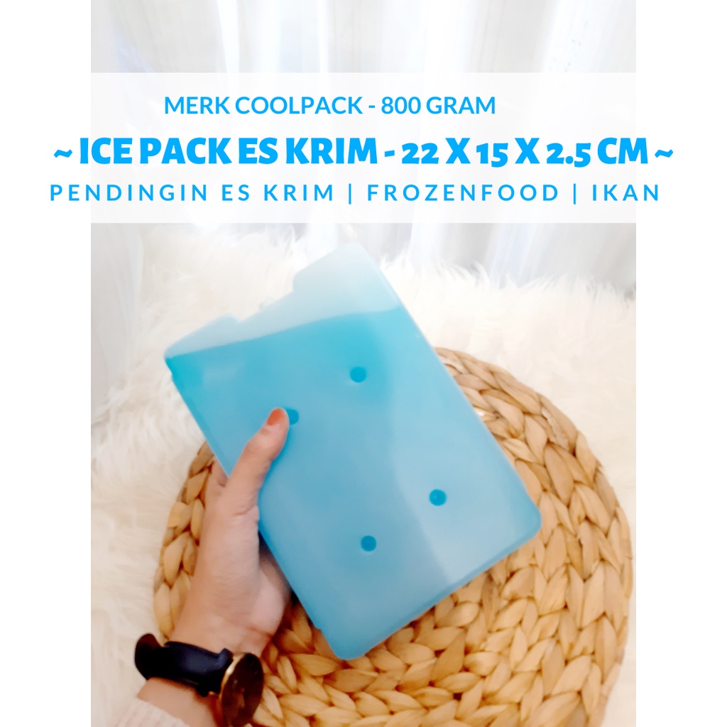 Blue Ice Pack Pack-Bentuk Ice Pack-Pendingin Box Es Krim-Cooler Es Cream-Pendingin Ikan-Pembeku es