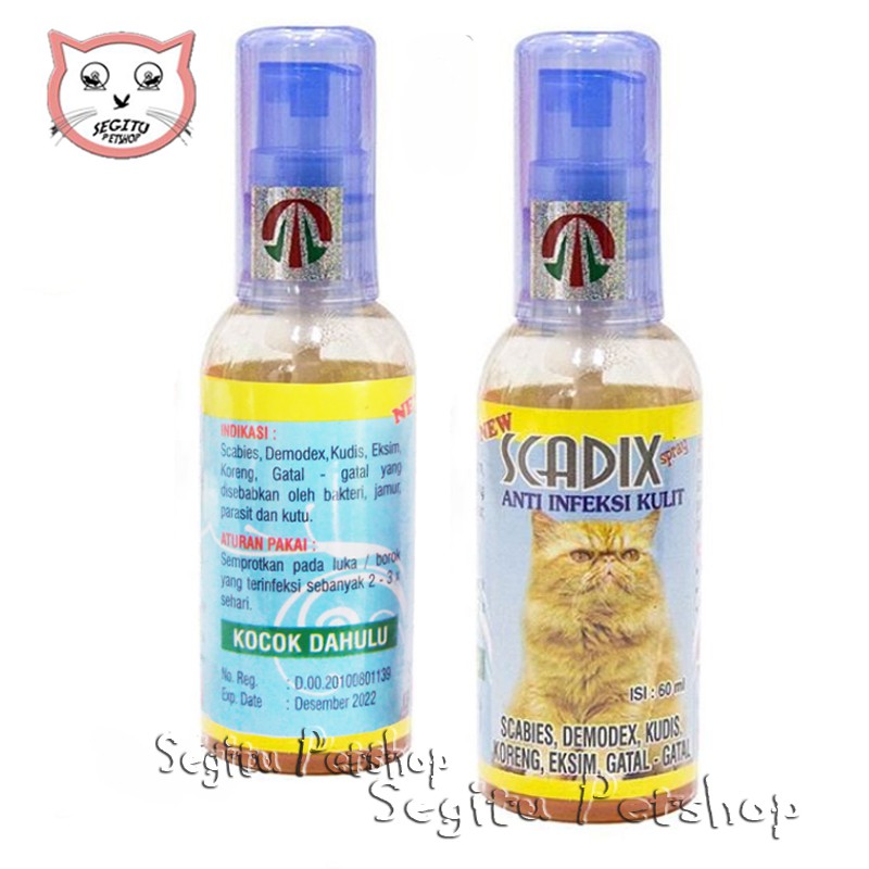 Obat Jamur Scabies Kucing