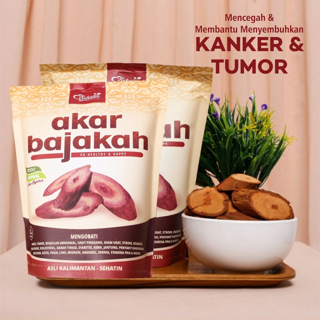 

Akar Kayu BAJAKAH ASLI KALIMANTAN Siap Seduh Obat Tumor dan Kanker (100% ORIGINAL) Asli Kalimantan SEHATIN