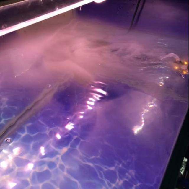 Pembuat Kabut / Mist Maker LED aquarium