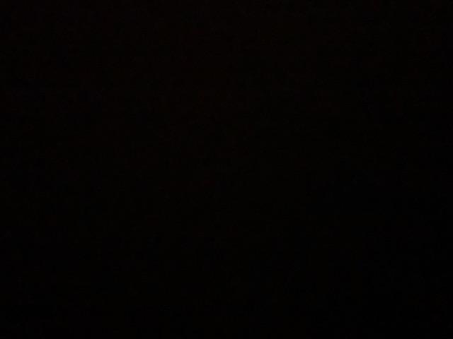 Kalung Rantai Liontin Bulat Desain Pohon Hollow Difuser Aromaterapi