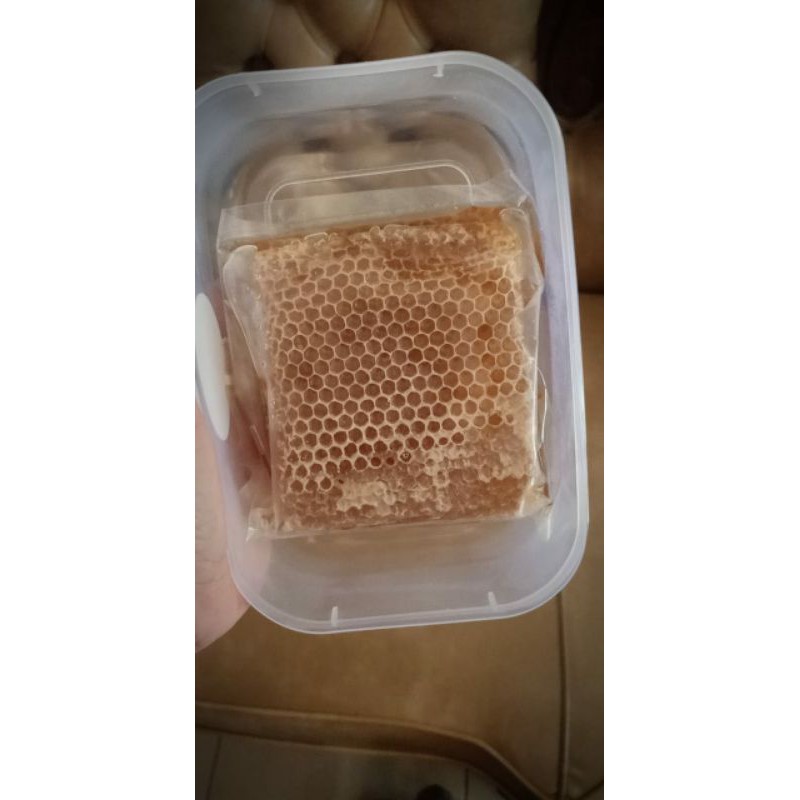 

Promo Sarang madu mellifera 250gram