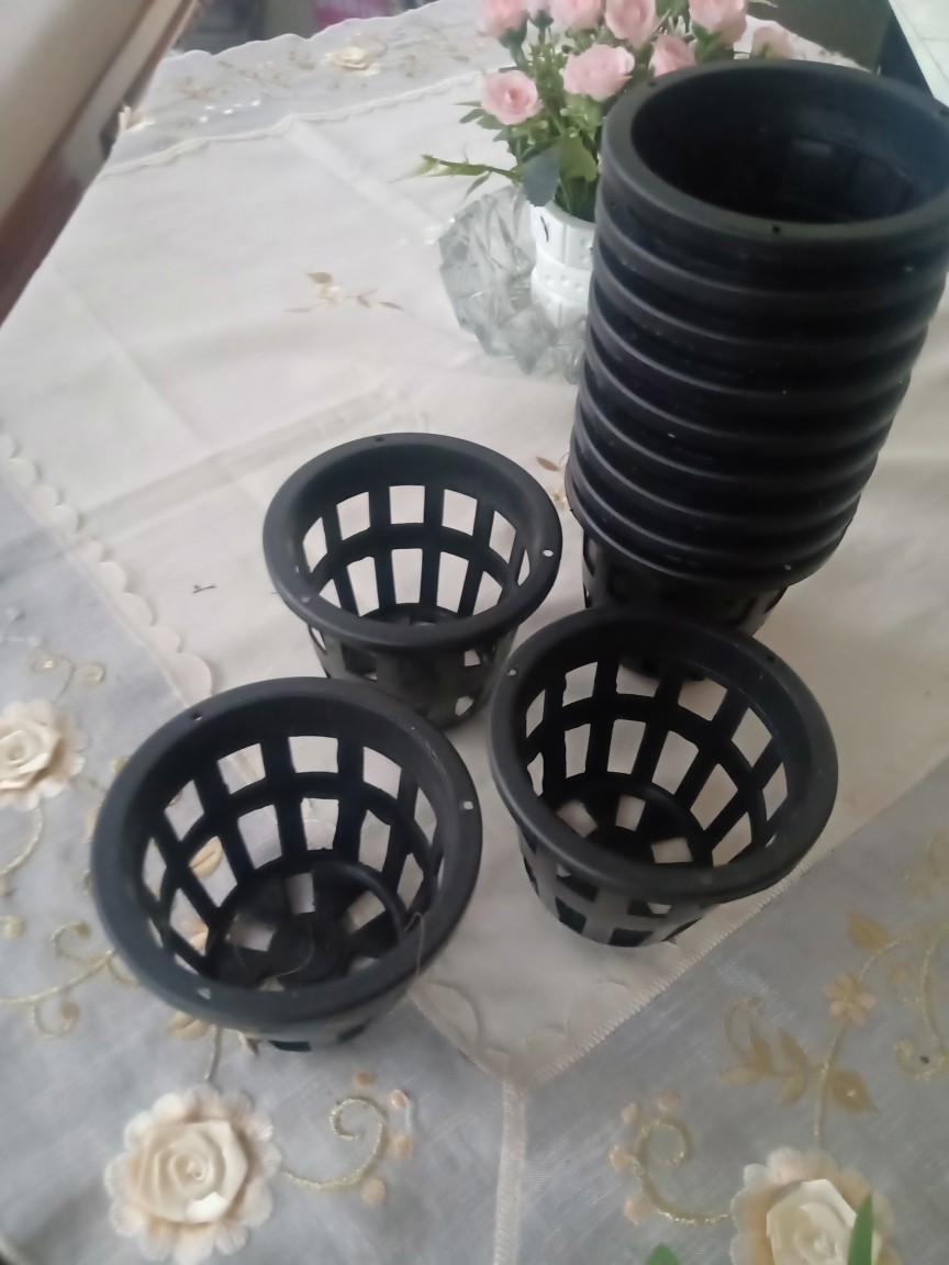 Pot Anggrek 10 Cm | Pot Hidroponik Tanaman Hias Dan Bunga
