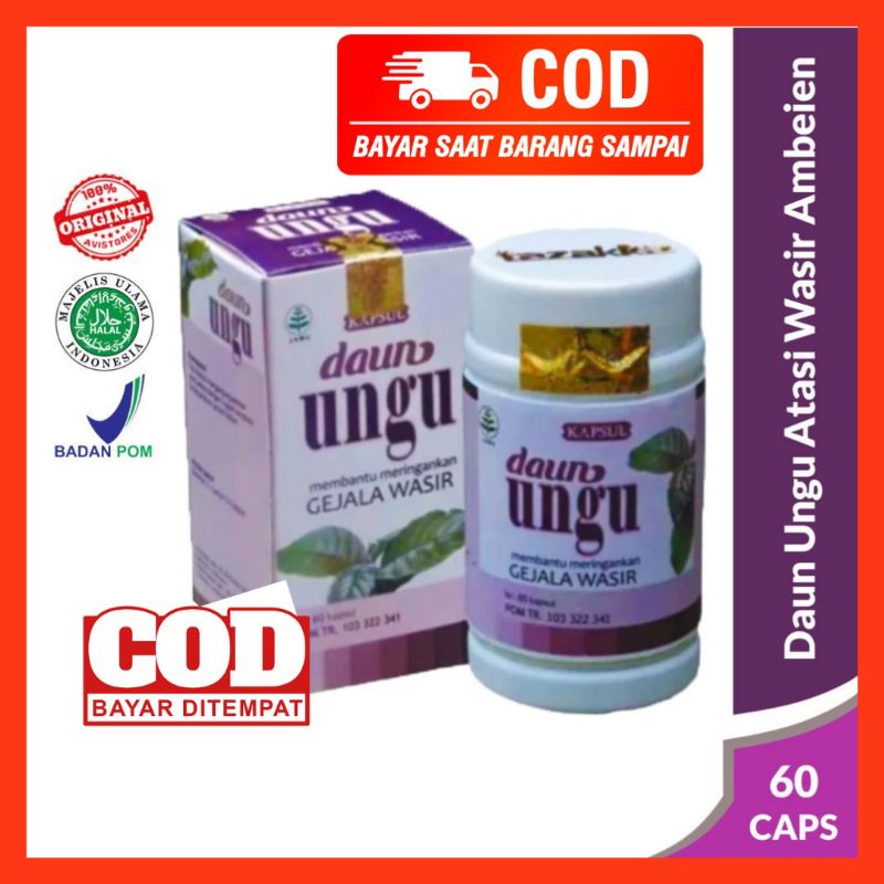 OBAT WASIR Obat Ambeien Kapsul DAUN UNGU Tazakka Obat BAB Berdarah Benjolan Dubur Ekstrak Daun Ungu