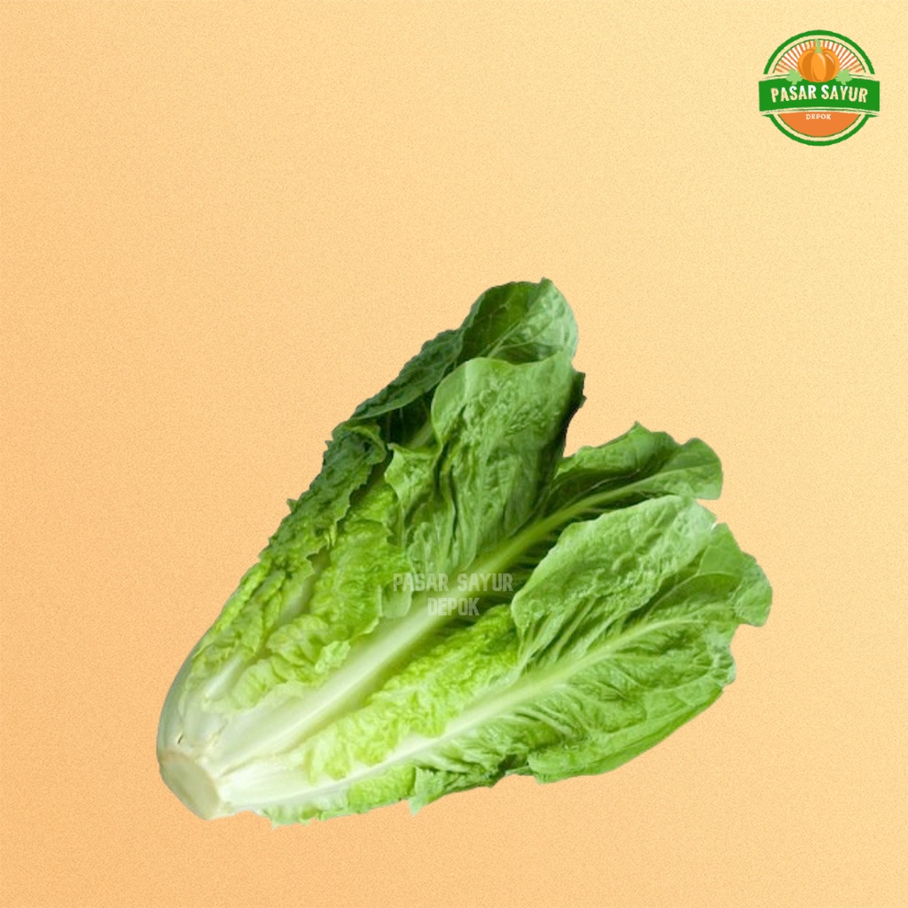 

Selada romaine fresh 200 gram