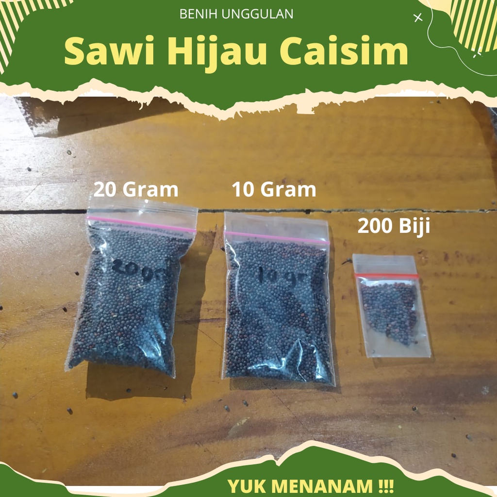 20 Gr - Benih Sawi Hijau Sawi Caisim SUPER Benih Unggul