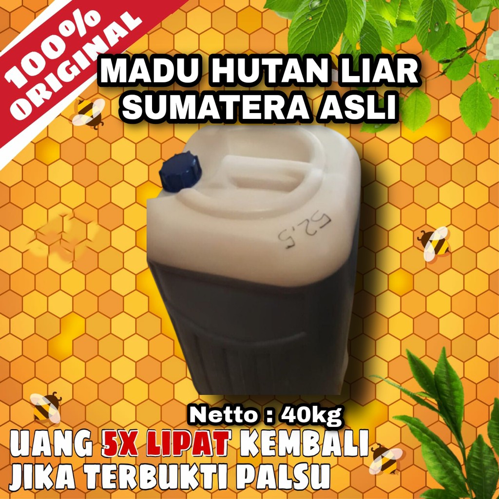 

Madu Hutan Liar Sumatera Murni 100% Asli - Madu Murni Asli 40kg