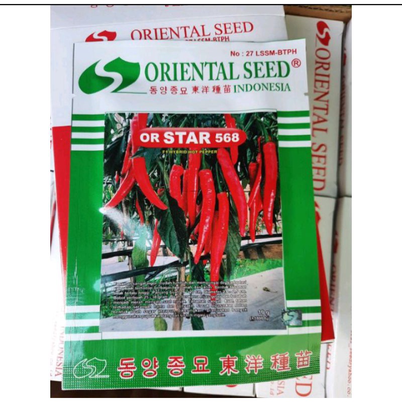 Benih Cabe Besar OR Star 568 Tahan Hama dan Virus Isi 1800 Biji Oriental Seed