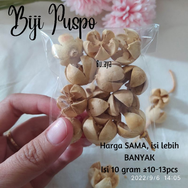 BK12 Biji Puspo 10 gram bahan ringbox mahar rustik bunga kering