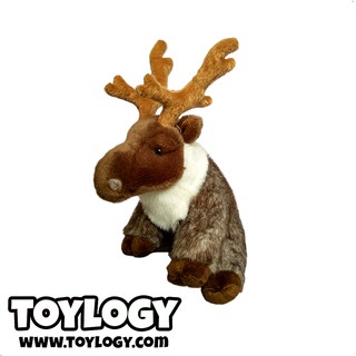 900 Koleksi Gambar Binatang Rusa Kutub HD Terbaik