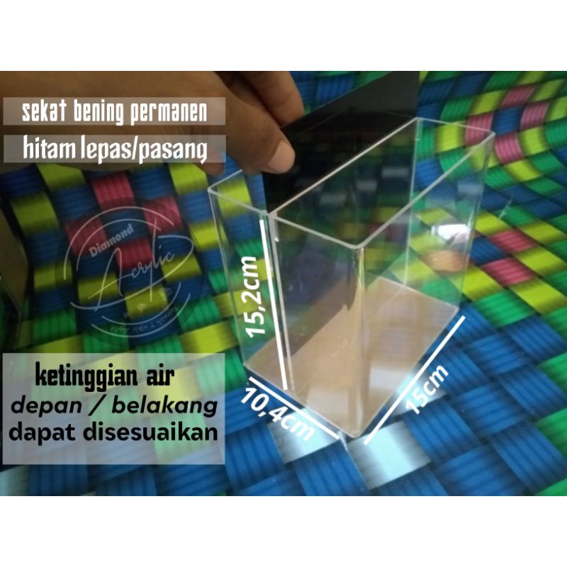 soliter selfie akrilik cupang double skat, 15.10.15 / soliter show ikan cupang