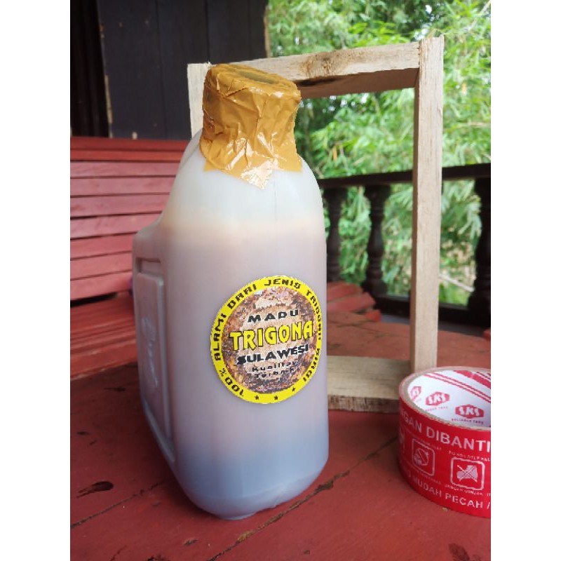 

madu Trigona / Klanceng / kelulut