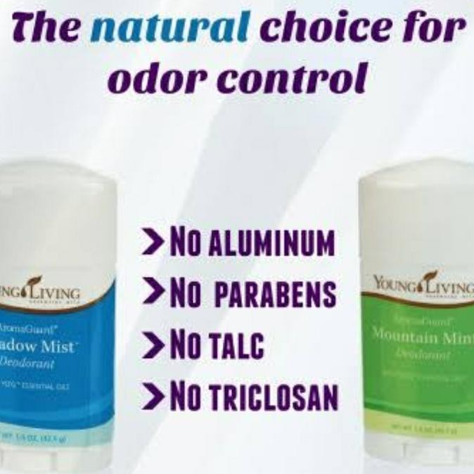 Aromaguard Meadow Mist Deodorant 42gr / Deodorant Alami Natural YL