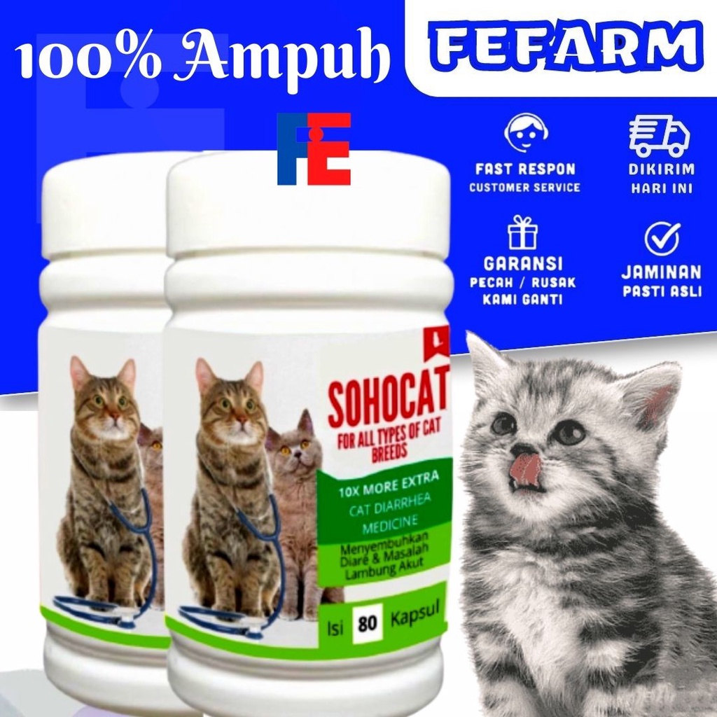 Obat Mencret Kucing / Obat Diare Kucing Mengatasi Diare FEFARM