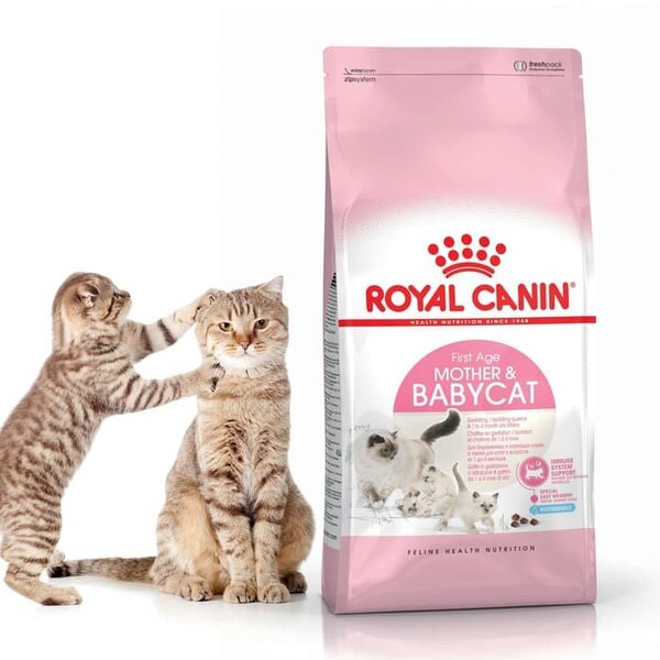 Royal Canin Mother and Babycat 4kg Baby Cat 4 kg Makanan Kucing RC 34