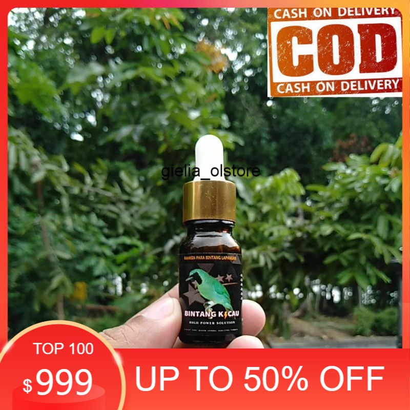 Vitamin Untuk Cucak Ijo Biar Gacor Perhitungan Soal