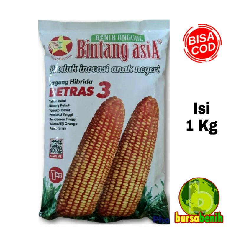 Bibit Benih Jagung Hibrida BETRAS 3 bersertifikat isi 1kg.