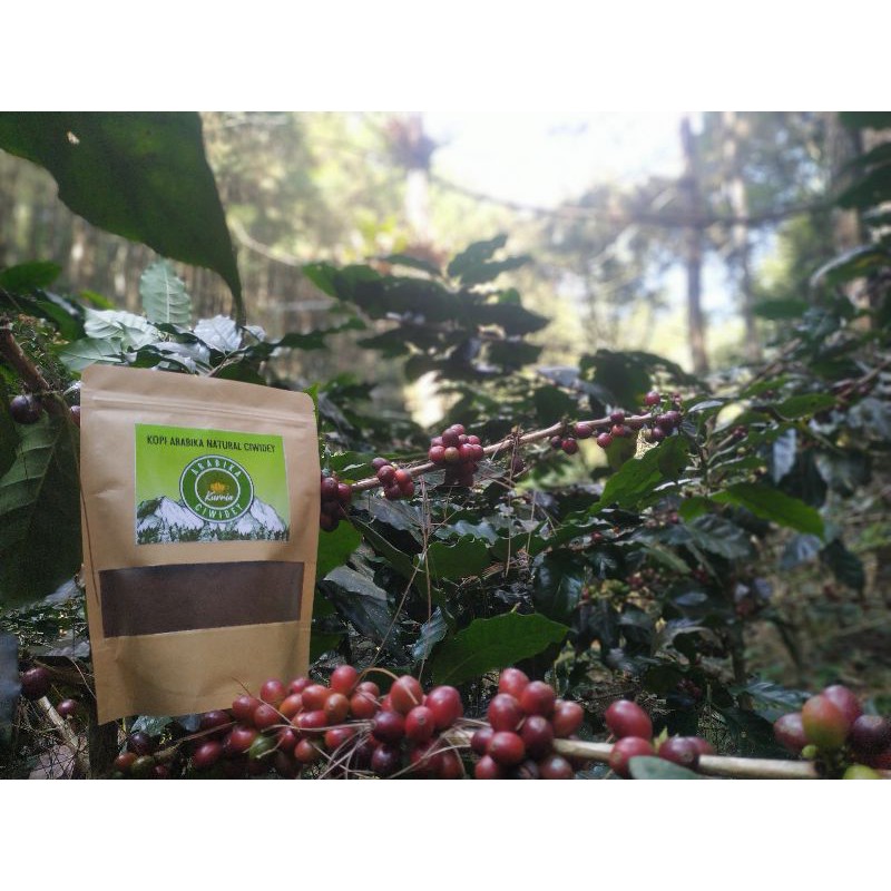 

kopi arabika natural 250grm ciwidey/gunungtanjaknangsi