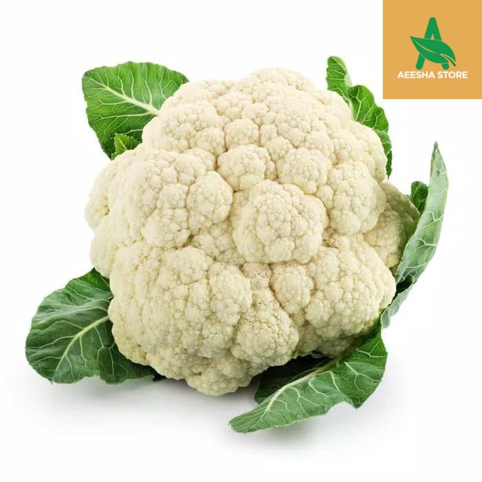 

Bunga Kol 1000 gram AEESHASTORE