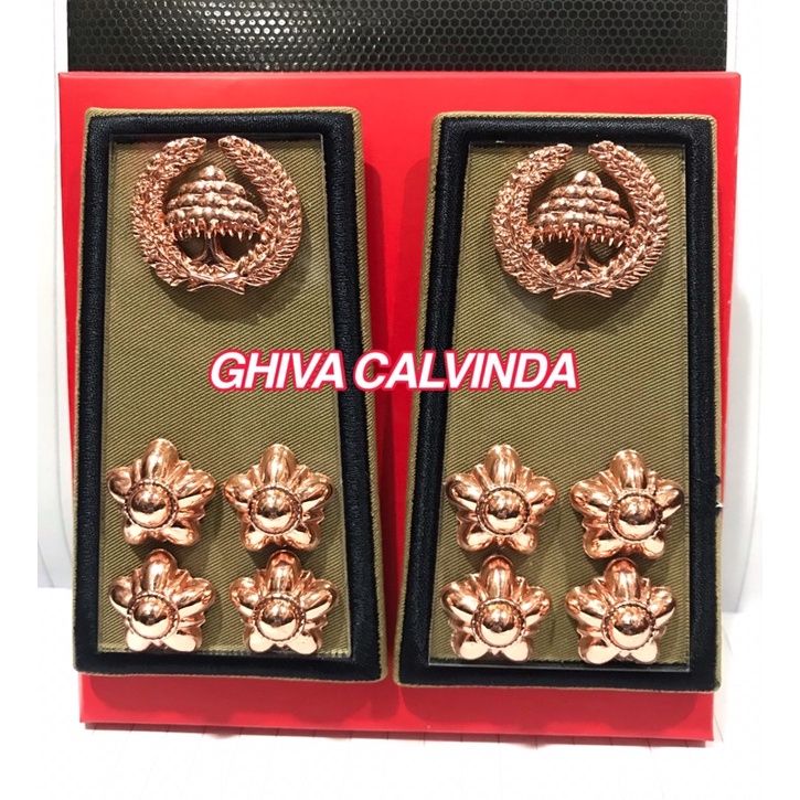 PANGKAT PNS BENGKULU GOL 2D