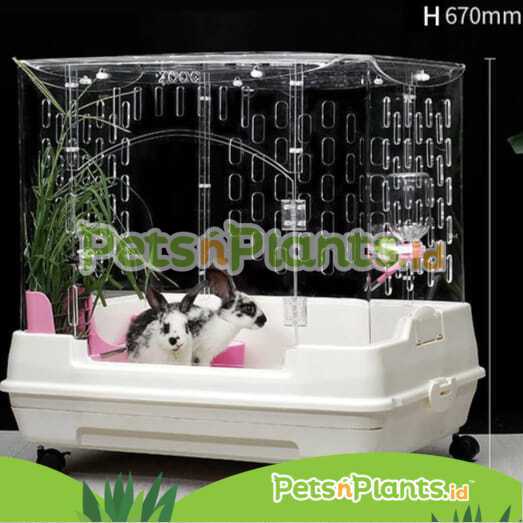 Kandang Kelinci Akrilik - Rabbit Bunny Cage CRYSTAL CLEAR Acrylic Import