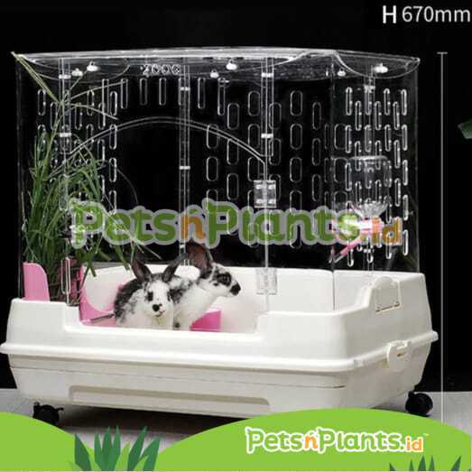 Kandang Kelinci Akrilik - Rabbit Bunny Cage CRYSTAL CLEAR Acrylic Import