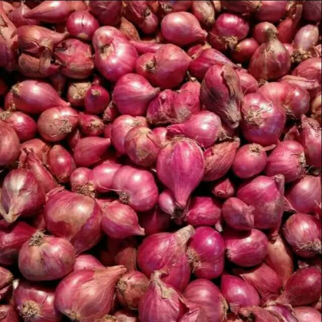 

BAWANG MERAH SUPER 1kg