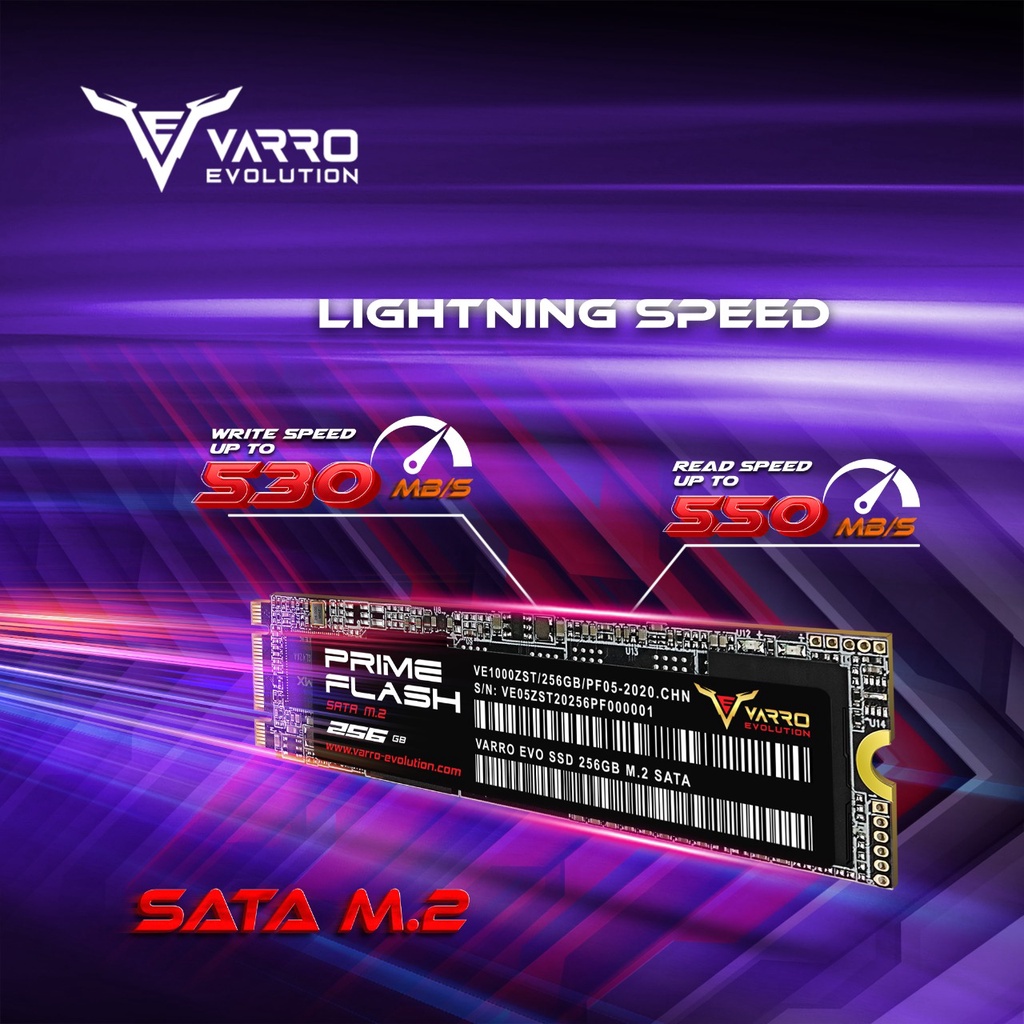 SSD VARRO EVOLUTION M2 PRIME 256GB