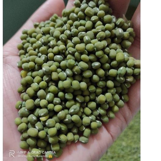 

No Lirik!! {COD} KACANG HIJAU 1KG | Termurah dan terbaik | Terbaru dan terlaris